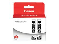 Canon Pixma IP4820 2-Pack PGI-225 Standard Pigment Black Ink, 340 Page Yield
