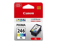 Hot Deal: Canon Pixma MG2420 CL246XL High - Color Ink, 300 Yield