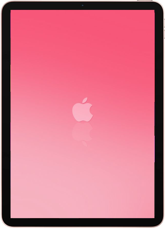 Hot Deal! Apple iPad Mini 6th Gen 256GB Pink Wi-Fi + Cellular 8.3 Inch